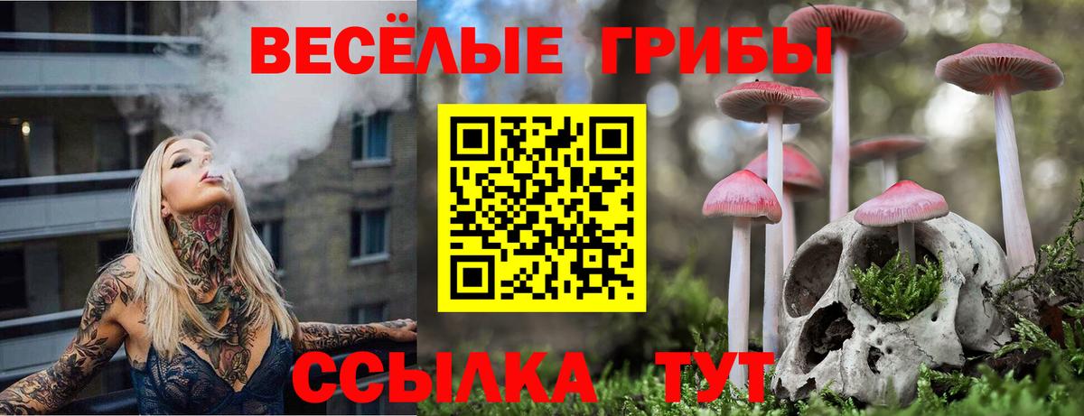 наркошоп  Псилоцибиновые грибы MAGIC MUSHROOMS  Вход с VPN  Стрежевой 
